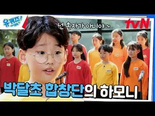 Trực tiếp trên truyền hình:

 #YouQuiz #Yu Jae Suk_ #Jo Se-ho
 Câu đố của bạn về