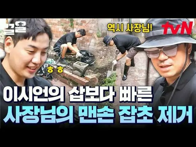 Phát trực tuyến trên Tiving: #tvN #BusanCountryBoysInSydney #PullUp Chương trình