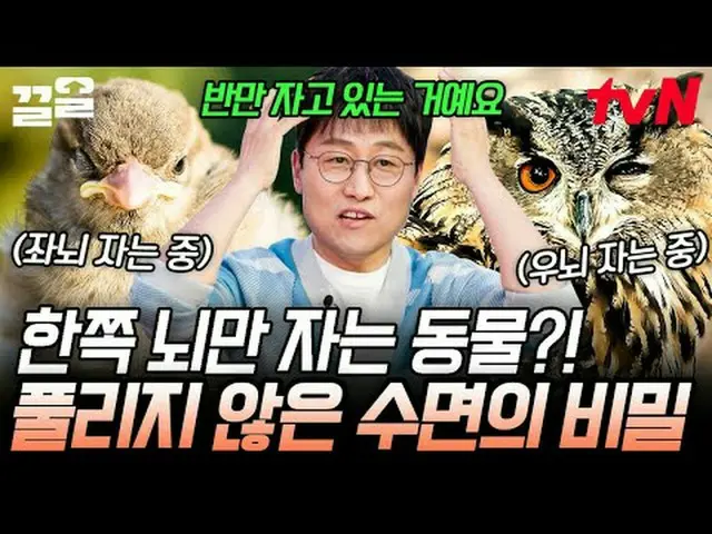 Phát trực tuyến trên Tiving: #tvN #Nghệ thuật tự do VS Khoa học Bằng chứng tuyệt