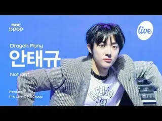 [#EatLikeCam] Dragon Pony AN TAEGYU (Dragon Pony_ 안태규) - Không Ra Ngoài | nó đan