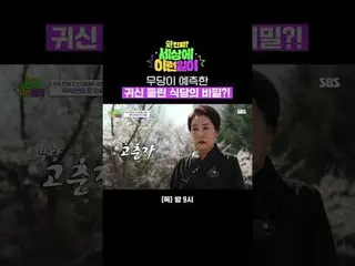 Bí mật của nhà hàng ma ám được tiên đoán bởi một phù thủy
 #Jeon Hyun-woo_ #Bai 