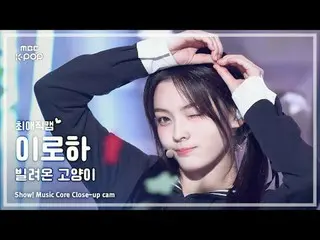 [#Camera yêu thích] ILLIT_ _ IROHA (ILLIT_ Iroha) – Borrowed Cat (Nhảy) | Biểu d