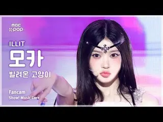 [#MusicCoreCam] ILLIT_ _ MOKA (ILLIT_ Moka) – Ảnh chụp người hâm mộ Borrowed Cat