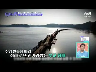 Phát trực tuyến trên Tiving:

 #Jeon Hyun-woo_ #Wu Sang-jin#Han Seok-jun

 miễn 