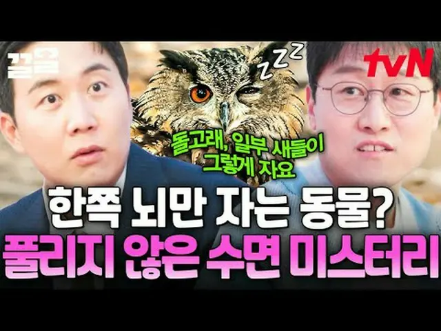 Phát trực tuyến trên Tiving: #tvN #Nghệ thuật tự do so với Khoa học Bằng chứng đ