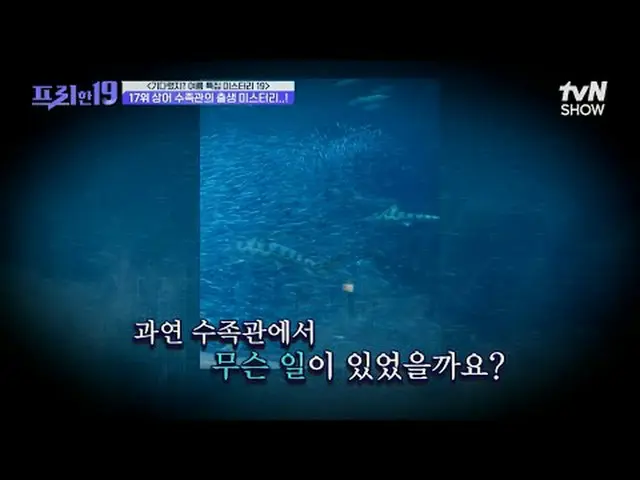 Phát trực tuyến trên Tiving: #Jeon Hyun-woo_ #Wu Sang-jin#Han Seok-jun free19 EP