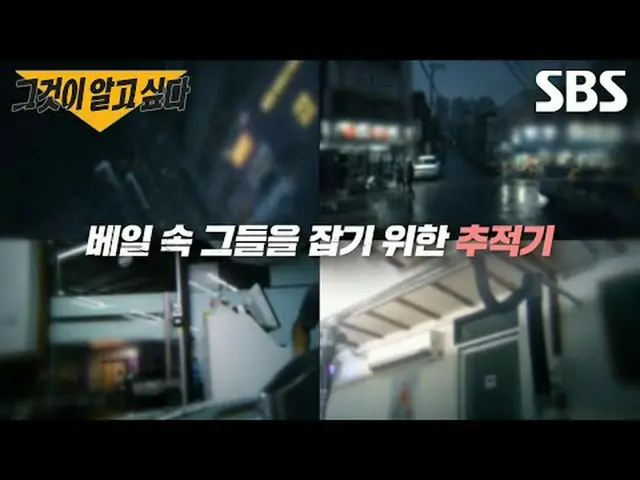 #SBSCurrentAffairs #SBSCulture #Tôimuốnbiết #CâuHỏiChưaĐượcTrảLời #ĐiềuBiết #Điề