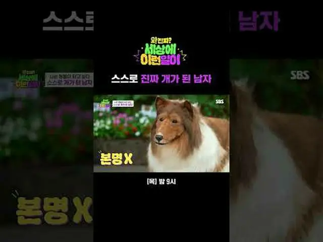 Người đàn ông biến mình thành một con chó thực sự #Jeon Hyun-woo_ #Bai Ji-young_