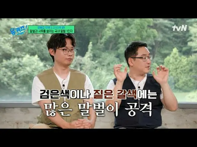 Phát trên TV: #YouQuiz #YuJaeSuk_ #JoSeHo Tập 305 của "Block Quiz" phát sóng vào