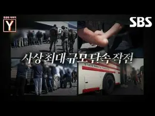 #Georgia #Trump #Giam giữ
 #SBSEducation #CuriousStoryY #YStory #CuriousStoryYPr