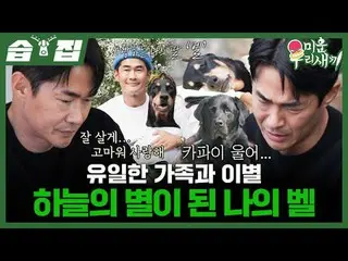 Những người thân duy nhất và sự chia ly, chiếc chuông của tôi biến thành những v