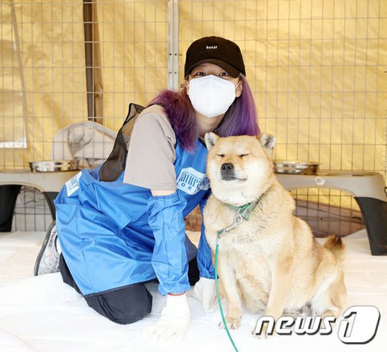 Câu lạc bộ người hâm mộ ở nước ngoài của "TWICE" Jeongyeon đã quyên góp cho những chú chó bị bỏ rơi trong ngày sinh nhật của Jeongyeon