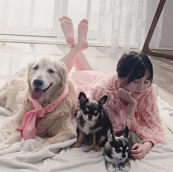 Nữ diễn viên Ku Hye Sun chụp ảnh gia đình khi đang bảo vệ chú chó cuối cùng của mình
