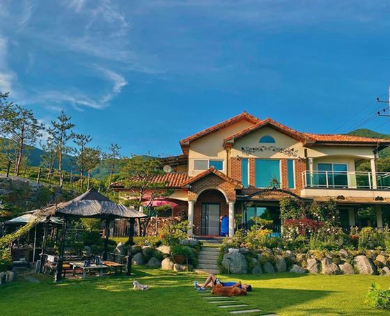 KangNam dành một ngày bình tĩnh với chú chó của mình tại nhà của bố mẹ Lee Sang Hwa ... Hình ảnh-Phong cảnh