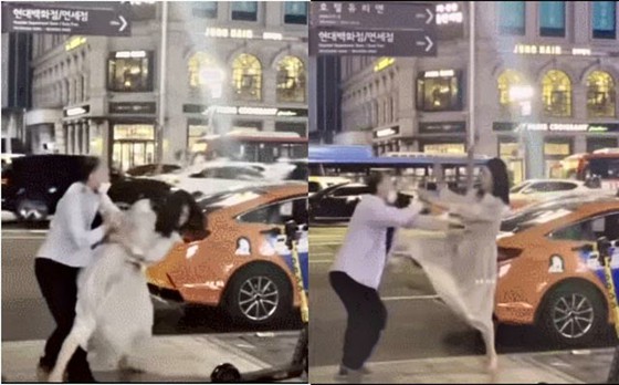 Video quay cảnh một phụ nữ say rượu hành hung người đàn ông lái xe taxi được lan truyền, "Hãy cảnh giác với văn hóa say rượu" = Tin tức Hàn Quốc