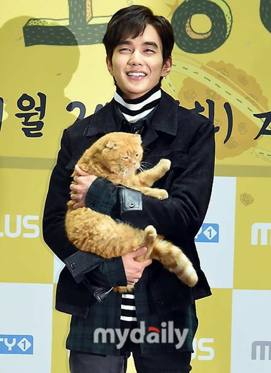 Những con mèo mà các ngôi sao bị ám ảnh! Từ JUNHO (2PM), Hee-chul (SUPER JUNIOR) đến Park Sin Hye ... Tổng hợp những người yêu mèo đại diện cho giới giải trí