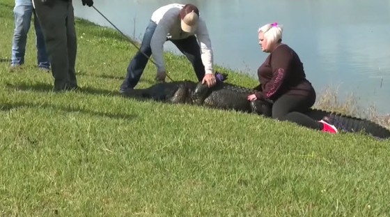 Người phụ nữ Mỹ chết sau khi bị kéo xuống nước khi đang dắt chó đi dạo