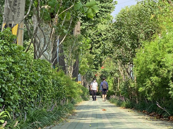 Seoul xây 100.000m đường rợp bóng cây để giảm bụi mịn = Hàn Quốc