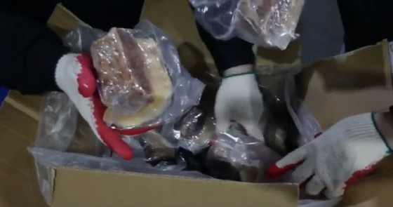 Hàn Quốc tố nhóm buôn lậu 4 tấn 'thịt cá voi' từ Nhật Bản đội lốt 'kamaboko'