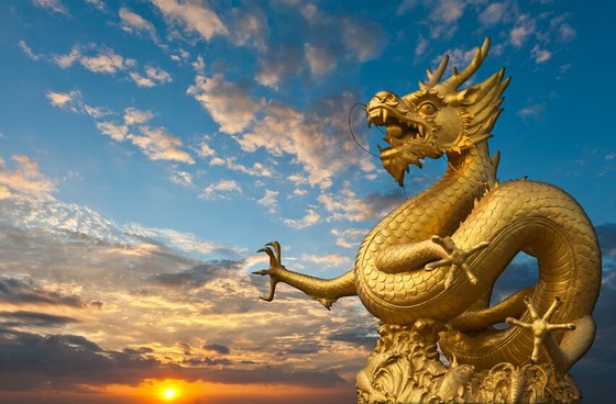 Một con cá sấu bất ngờ từ trên trời rơi xuống ở Thâm Quyến, Trung Quốc.
