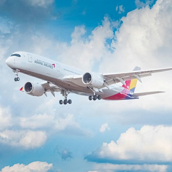Tiếp viên hàng không của Asiana Airlines đứng với cả cơ thể chặn lối thoát hiểm = bình luận của Hàn Quốc