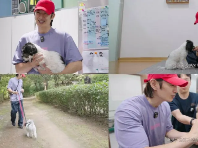 "Thần" Son Ho Young tạo nên tác động tích cực thông qua công việc tình nguyện với những chú chó cứu hộ