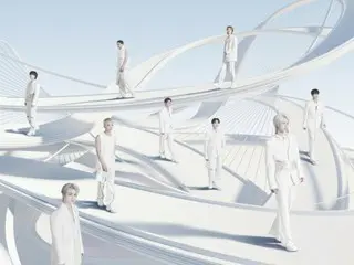 Hai khán giả bị thương sau khi pháo hoa rơi trúng khán giả tại buổi hòa nhạc của SEVENTEEN