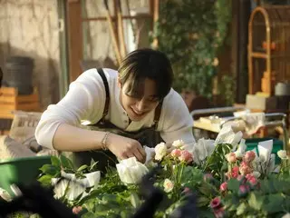 Junho của 2PM thực hiện bước đi đầu tiên của mình với tư cách là một nhân viên năng động của công ty thương mại Daepoong Trading... Câu chuyện về sự trưởng thành của anh ấy bắt đầu