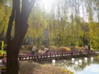 Tổng cục Du lịch Gyeonggi giới thiệu những khu rừng nơi bạn có thể tận hưởng mùa thu ở Hàn Quốc (Hàn Quốc)