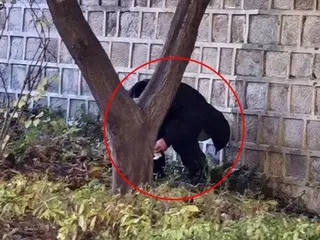 Người nước ngoài gây rối... Lần này, "chạy bán khỏa thân" ở Gwanghwamun = Hàn Quốc