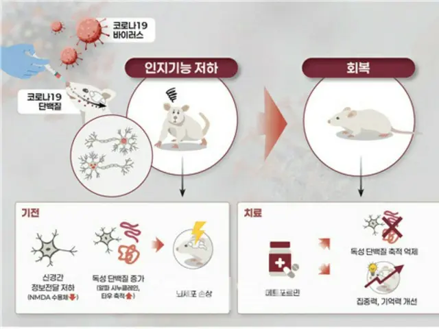 "Trí nhớ của tôi kém đi kể từ khi dịch virus corona bùng phát... Lý do rất rõ ràng" - Truyền thông Hàn Quốc