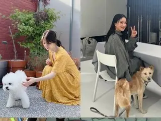 Nữ diễn viên Song Hye Kyo tình cờ gặp Um Jung Hwa khi đang dắt chó đi dạo...Những chú chó cũng chào nhau thân thiện