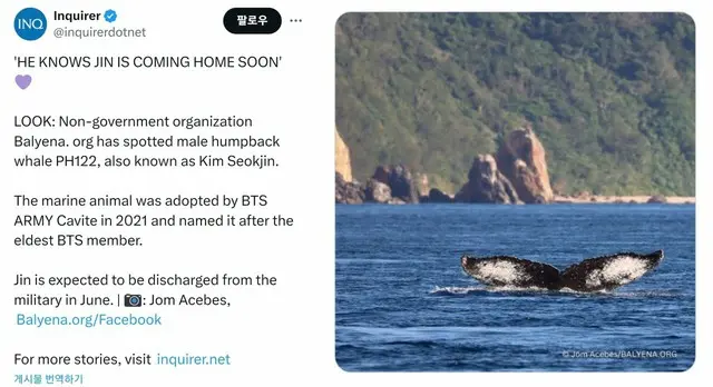 「BTS（防弾少年団）」JIN、除隊を控えて「キムソクジン」クジラ発見…全世界のファン「歓呼」