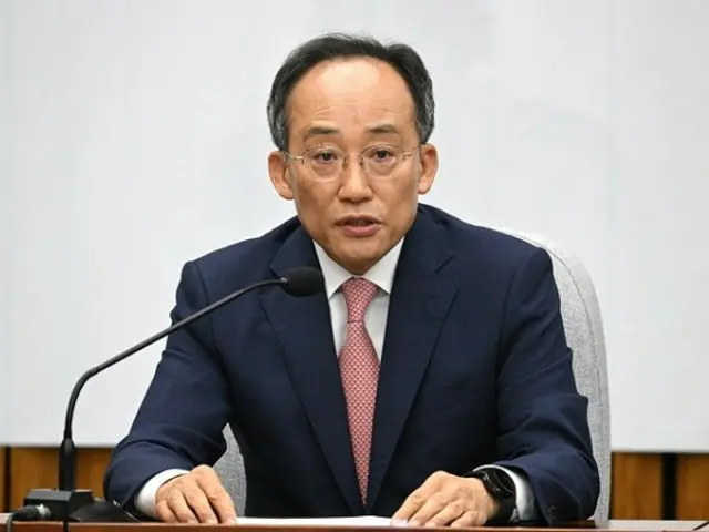 秋慶鎬、国民の力院内代表