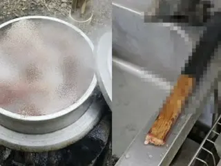 Người đàn ông 60 tuổi bị buộc tội giết chó "để ăn poshintang (súp thịt chó)" = Hàn Quốc