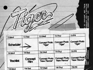 "n.SSign" sẽ trở lại vào ngày 18...Ra mắt album repackaged "Tiger"