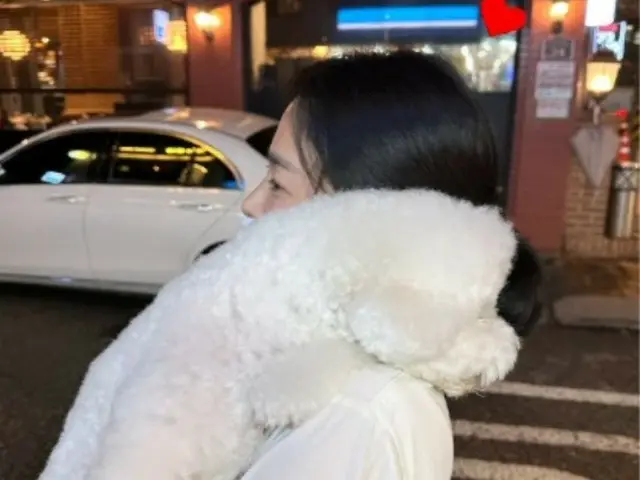 Nữ diễn viên Song Hye Kyo ôm chú chó cưng dạo quanh thành phố... Không giấu được đường mũi thon gọn