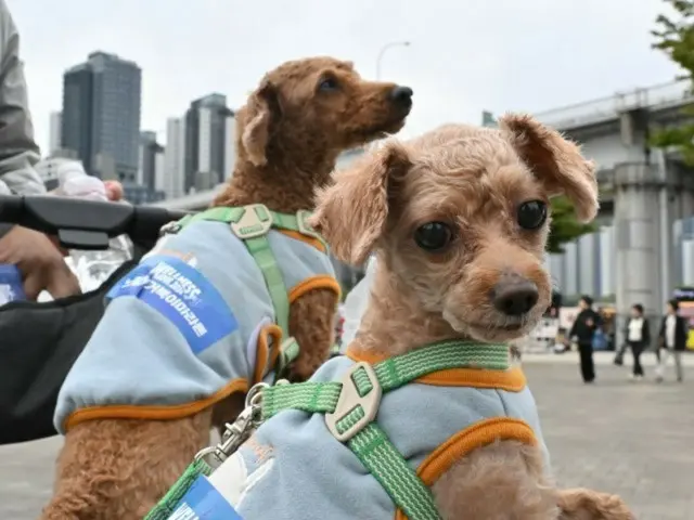 「こども」のかわりに「愛犬」を…「かわいそうな韓国、愛犬がパートナー」＝米メディア