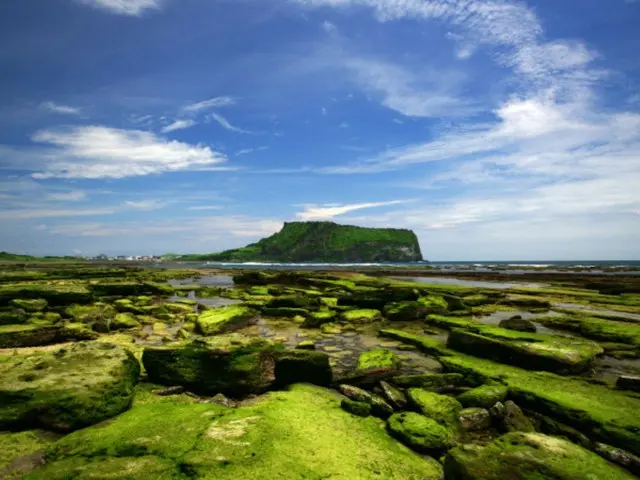 'Ngày Môi trường Thế giới' sẽ được tổ chức tại Jeju vào năm tới... lần đầu tiên sau 28 năm