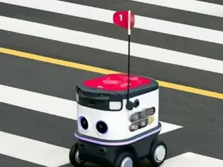 Robot giao hàng va chạm với ô tô khi băng qua đường dành cho người đi bộ...Có giải quyết được không? = Hàn Quốc