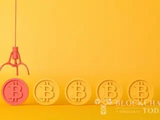 Van Eck: “Hoa Kỳ dự trữ Bitcoin làm tài sản dự trữ chiến lược sẽ giảm nợ quốc gia”