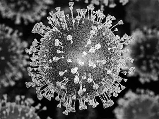 FBI Hoa Kỳ cho biết ``coronavirus mới bị rò rỉ từ phòng thí nghiệm'' 3 năm trước = Báo cáo của Hàn Quốc