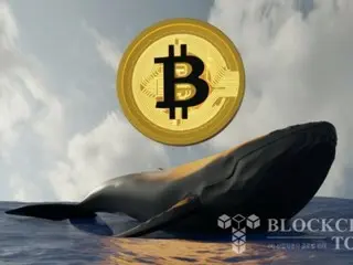 Cá voi bitcoin mua tới 34.000 BTC trong thị trường điều chỉnh gần đây