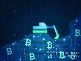 Các nhà đầu tư chuyển sự chú ý của họ sang mảng kinh doanh AI và bán dẫn của công ty khai thác Bitcoin