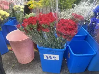 Hoa cẩm chướng Trung Quốc, quà tặng "mua theo nhóm"... Cảnh tháng 5 sinh ra từ giá cao = Hàn Quốc
