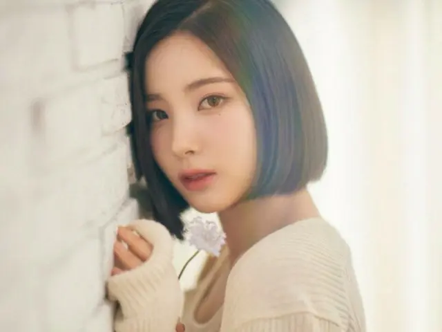 Liệu Sohee, cựu thành viên ALICE, có gặp người chồng doanh nhân hơn cô 15 tuổi tại một trung tâm giải trí không? Bình luận tức giận về trò lừa bịp