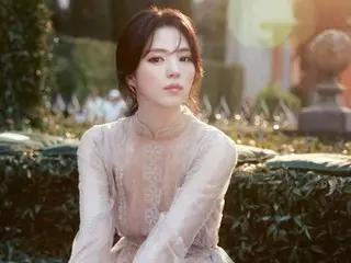 Nữ diễn viên Han So Hee khoe chiếc váy xuyên thấu thanh lịch và gợi cảm