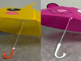 Temu, ô trẻ em bị phát hiện chứa chất gây ung thư gấp 444 lần giá trị tiêu chuẩn = Hàn Quốc