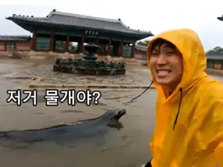 Một con sư tử biển xuất hiện trong Cung điện Gyeongbokgung bị ngập lụt do mưa lớn... Danh tính của video gây xôn xao là gì? = Hàn Quốc