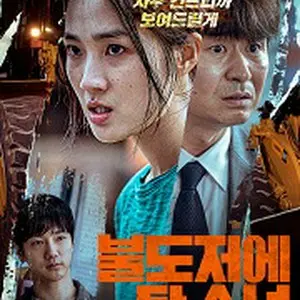 The Girl on a Bulldozer